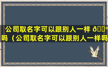 公司取名字可以跟别人一样 💮 吗（公司取名字可以跟别人一样吗怎么取）